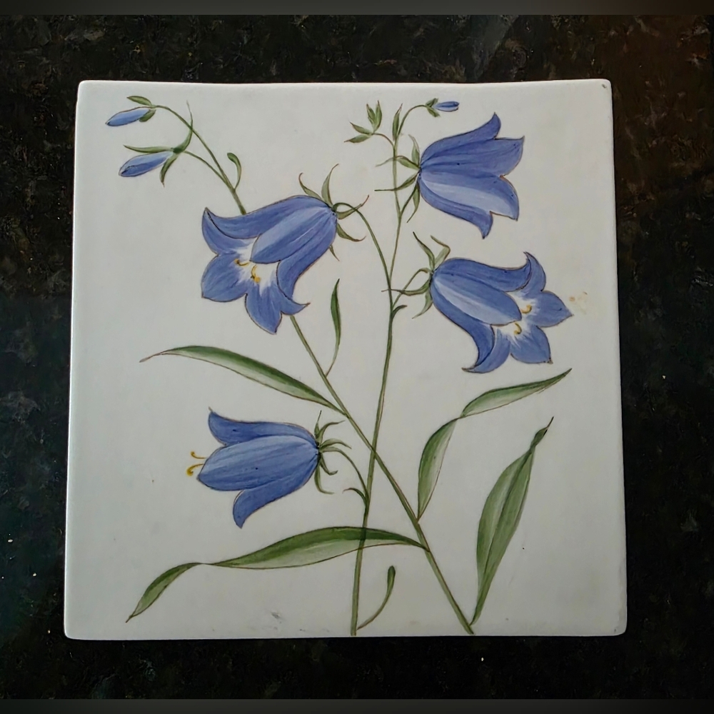 Vintage Arabia of Finland " Campanula Persicifolia" Peach-leaved Blue Flower